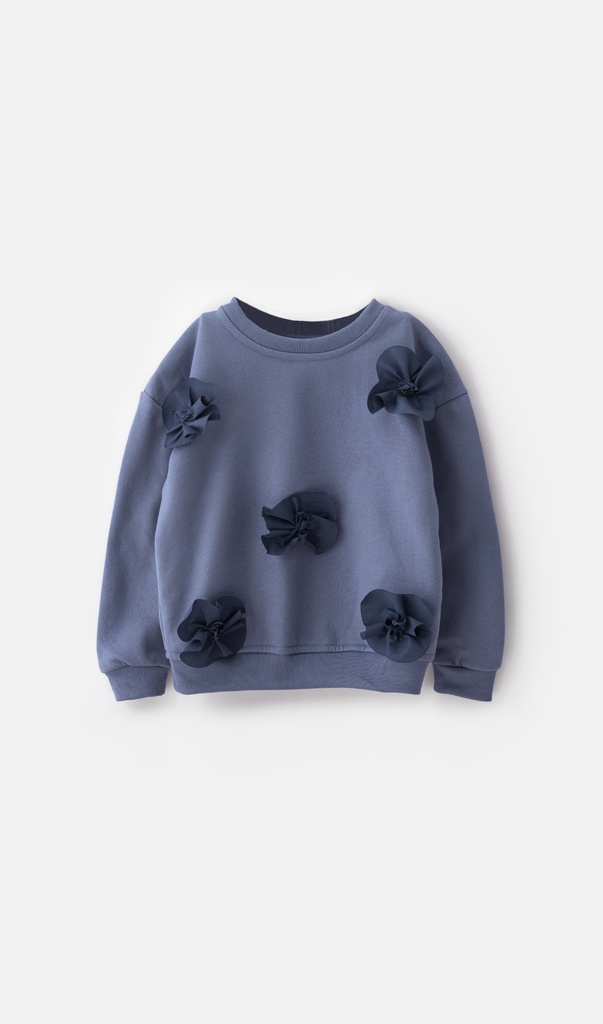 11350 Sudadera de Niña (9H3) 