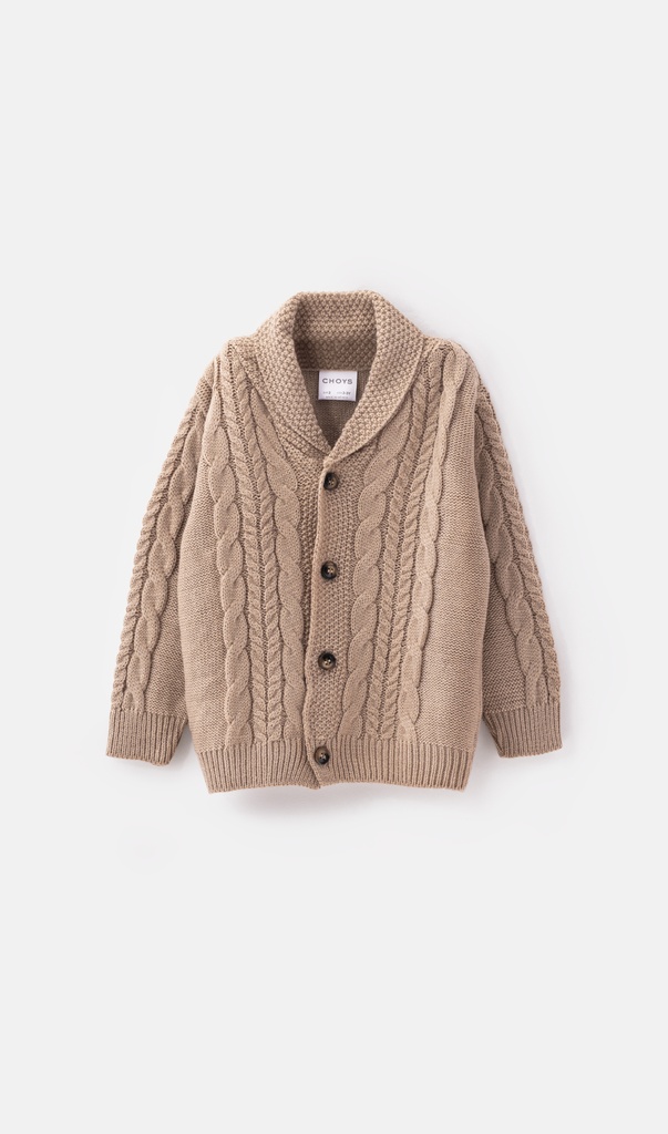 11402 Sueter de Niño (15F1)