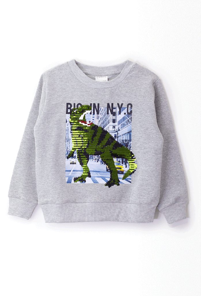 7867 Sudadera niño (16G2)