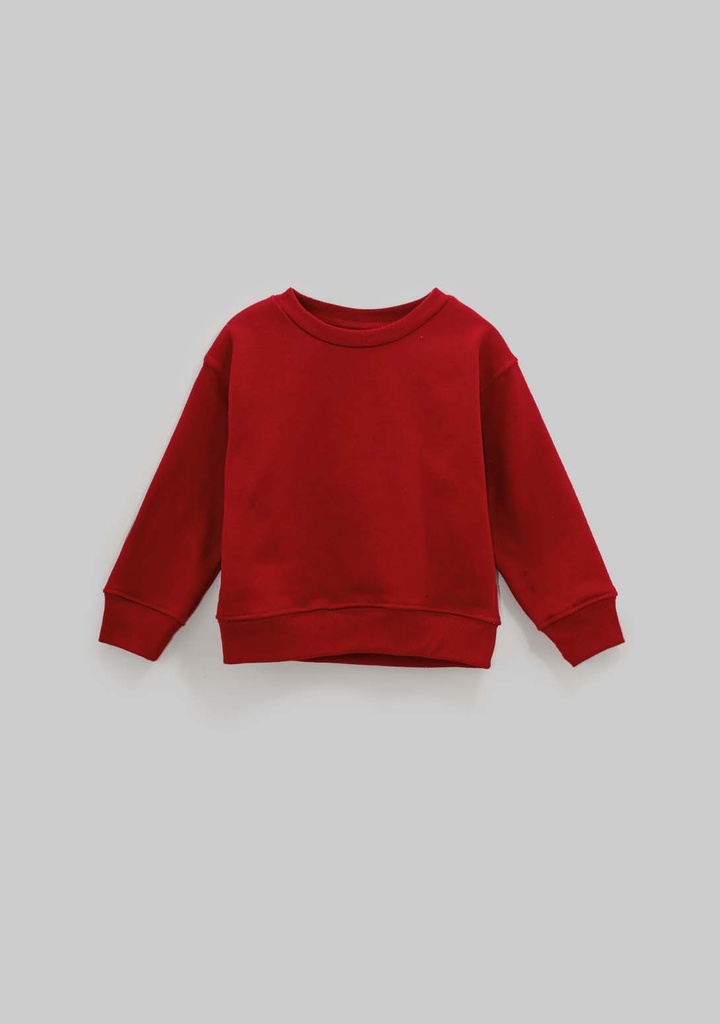 14227-R Sudadera de Niño (Preventa Agosto 2026 - Resurtido)