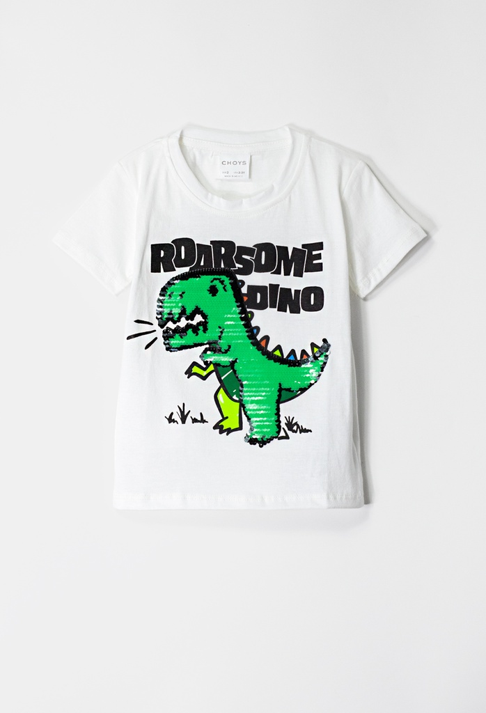 8605 Playera de niño (16C3)