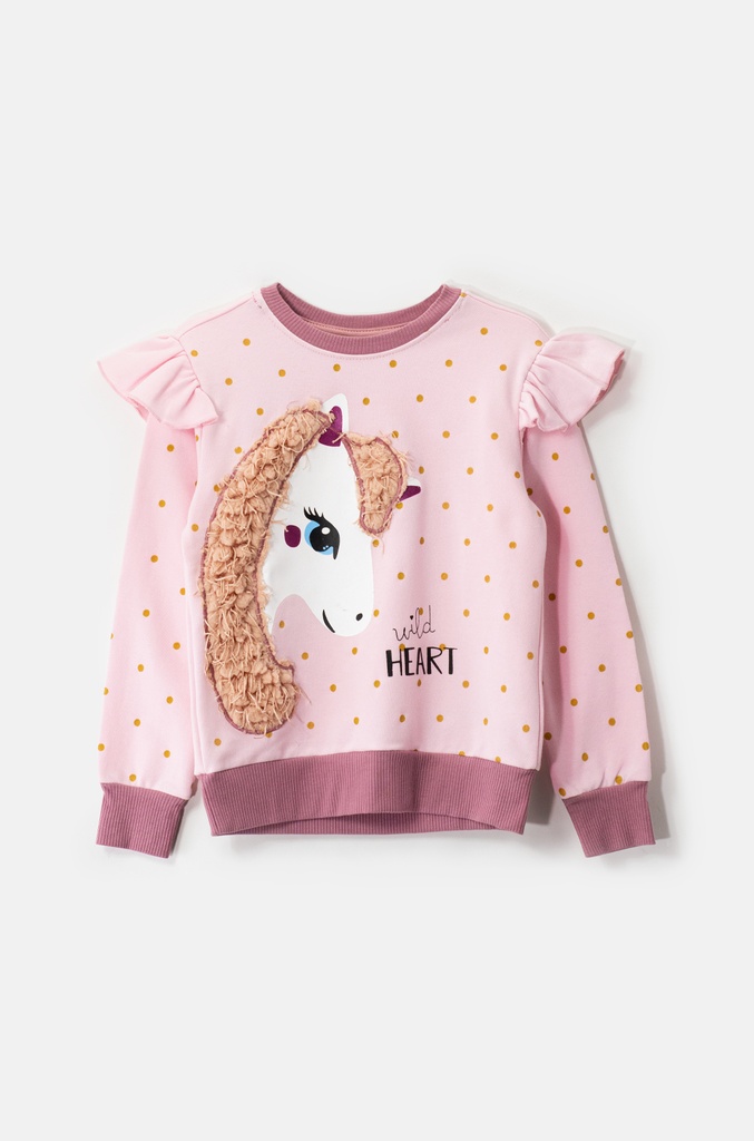 10470 Sudadera de niña (22C3)